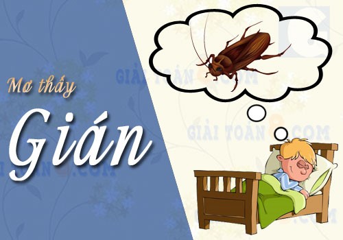 Giải đáp giấc mơ thấy gián cùng game thủ