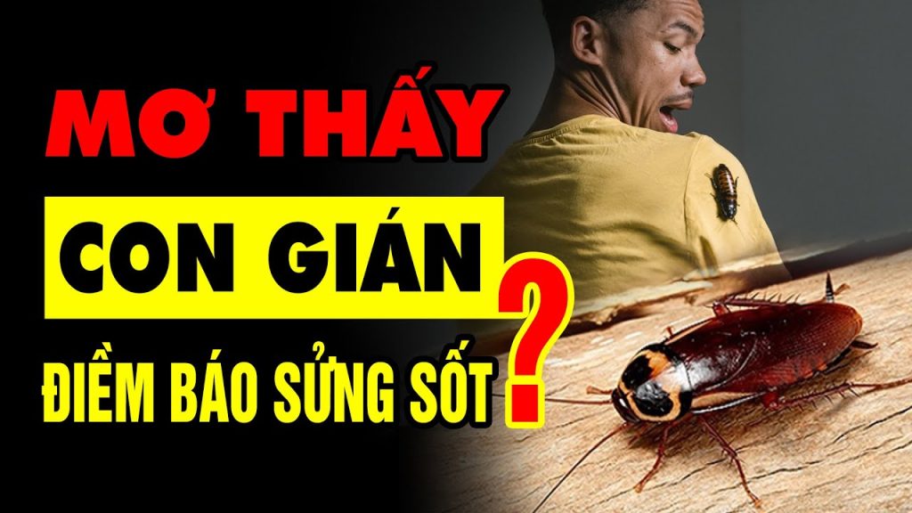 Nằm mơ thấy gián điềm lành hay dữ